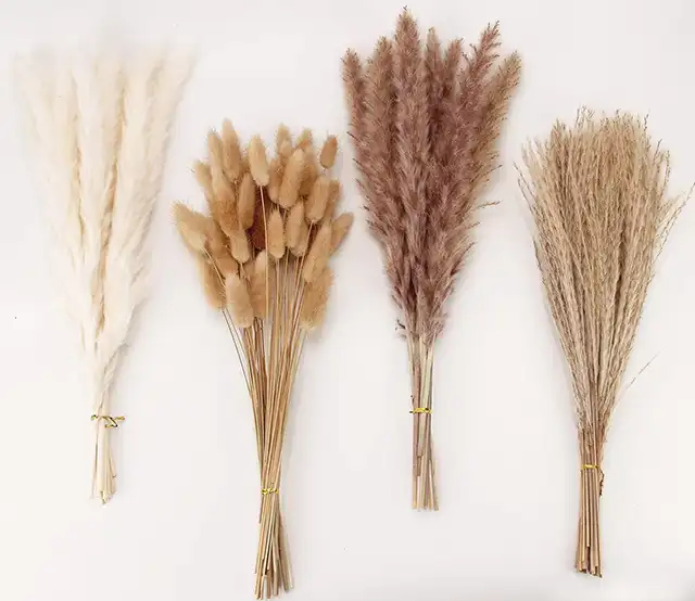 4 set of decorative dried flowers