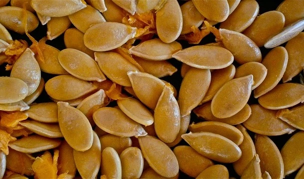 fresh pumpkin seeds