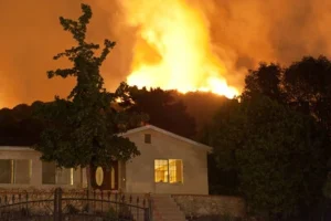 Essential Tips for Home Insurance Coverage You Need to Know