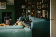 Lazy Day Home Organization Hacks That…