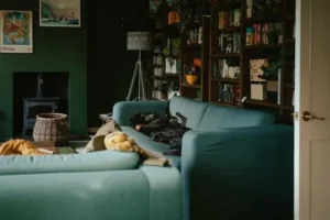 Lazy Day Home Organization Hacks That Actually Work