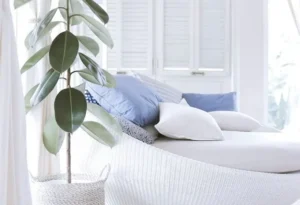 Mediterranean Bedroom