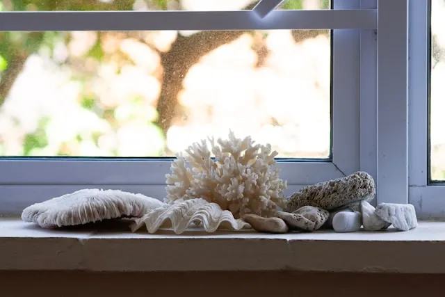 Natural shells on Mediterranean Bedroom bring coastal vibes to your place