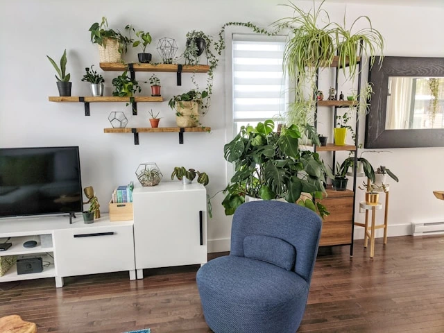 How to Organizing a Small Space…
