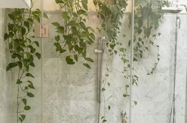 Green pothos plants cascading from above inside a tiled shower, creating a natural spa-like bathroom atmosphere.