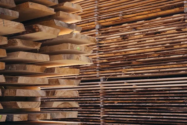 Neatly stacked slabs of raw mango wood, showcasing natural grain patterns and varying tones, prepared for furniture and home décor production.